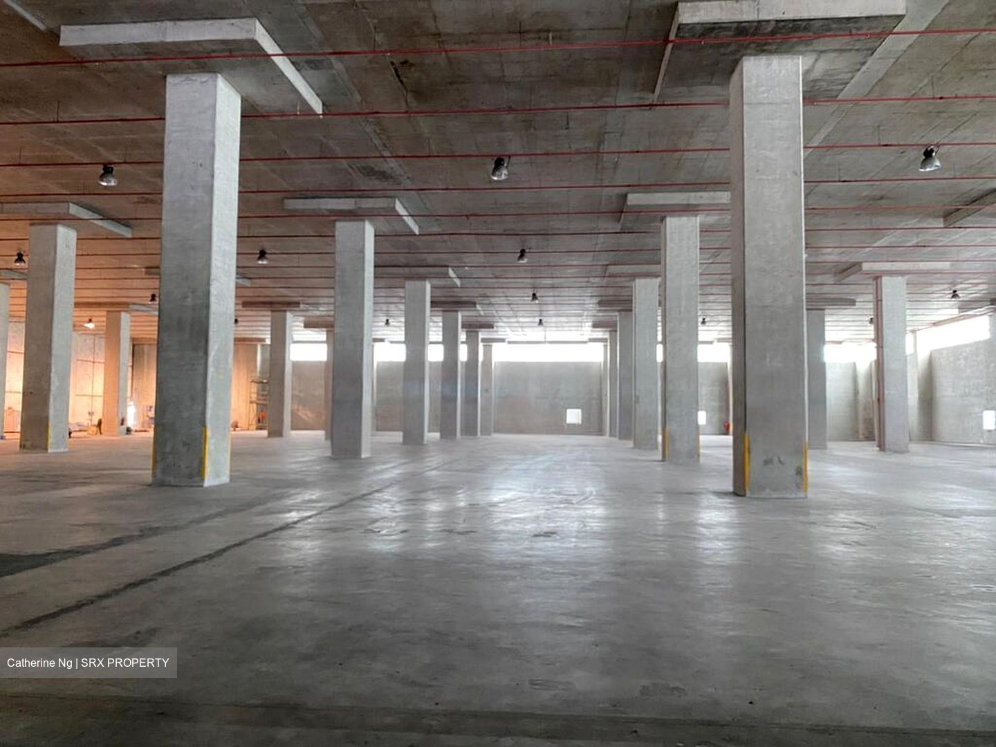 Greenwich Drive (D19), Factory #496449681